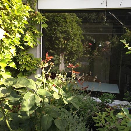 Gastezimmer Fischergarten Solothurn Eksteriør bilde