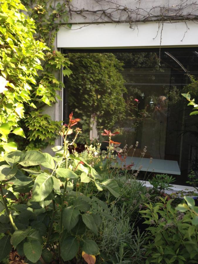 Gastezimmer Fischergarten Solothurn Eksteriør bilde
