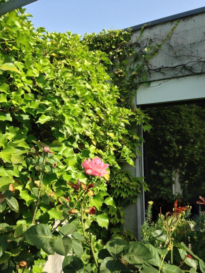 Gastezimmer Fischergarten Solothurn Eksteriør bilde
