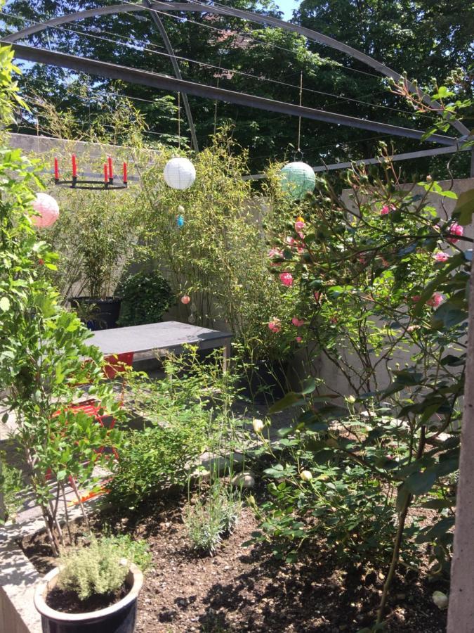 Gastezimmer Fischergarten Solothurn Eksteriør bilde
