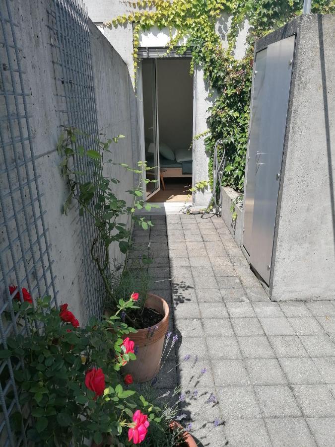 Gastezimmer Fischergarten Solothurn Eksteriør bilde