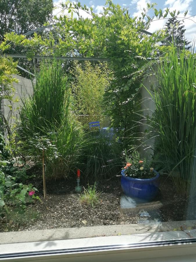 Gastezimmer Fischergarten Solothurn Eksteriør bilde